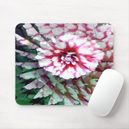 Dahlia twirl...... mousepad (Mit Mouse)
