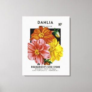 Dahlia Vintag Seed Packet Leinwanddruck