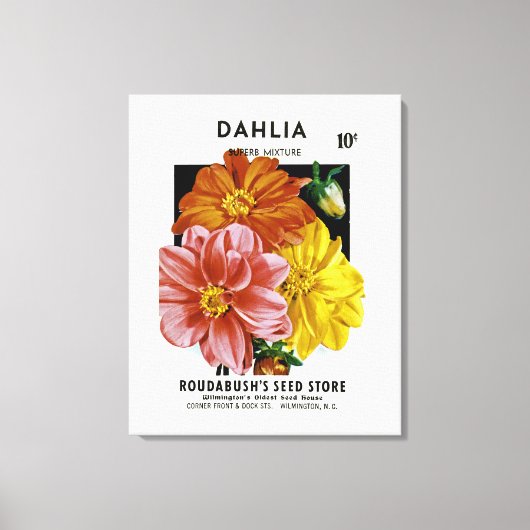 Dahlia Vintag Seed Packet Leinwanddruck (Vorderseite)
