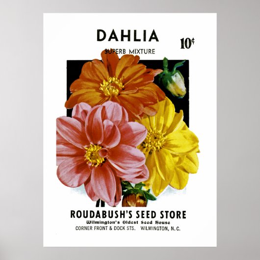 Dahlia Vintag Seed Packet Poster (Vorne)