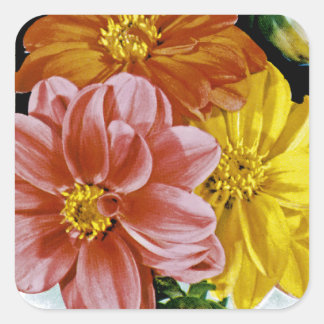 Dahlia Vintag Seed Packet Quadratischer Aufkleber