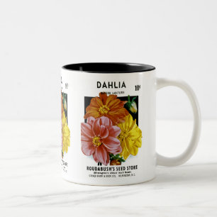 Dahlia-Vintage-Samenpaket Zweifarbige Tasse