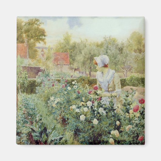 Dahlias, 1896 magnet (Vorne)