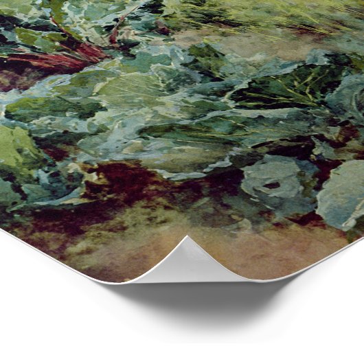 Dahlias, 1896 poster (Ecke)