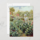 Dahlias, 1896 postkarte (Vorne/Hinten)