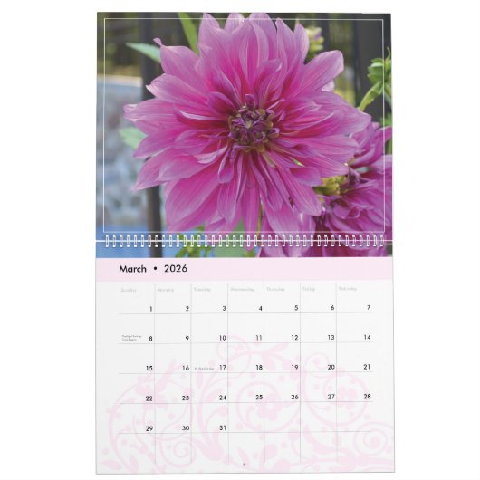 Dahlias 2020-Mauerkalender Kalender (Mär 2026)