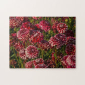 Dahlias, Dahlia farm, Canby, Oregon, USA 4 Puzzle (Horizontal)