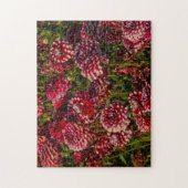 Dahlias, Dahlia farm, Canby, Oregon, USA 4 Puzzle (Vertikal)