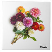 Dahlias Fliese (Vorderseite)