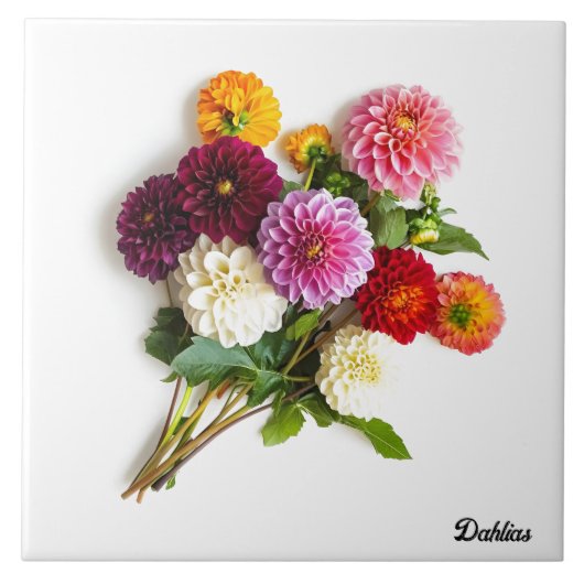 Dahlias Fliese (Vorderseite)