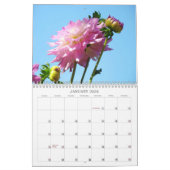 Dahlias Garden Calendar Blume Kalender (Jan 2026)