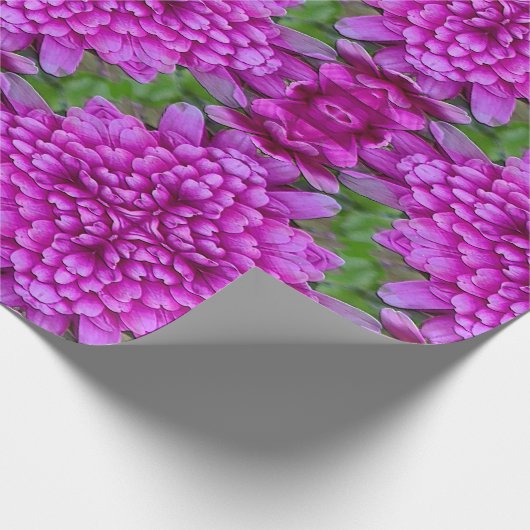 Dahlias....... Geschenkpapier (Ecke)