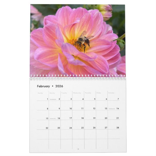 Dahlias Inspirational Photo Calendar Kalender (Feb 2026)
