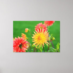 Dahlias Leinwanddruck