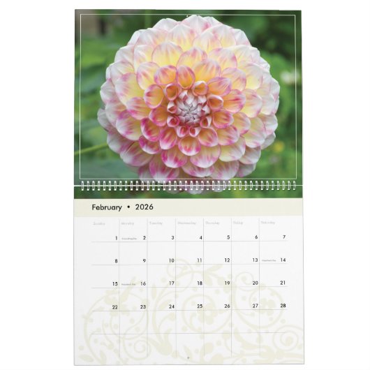 Dahlias-Mauer-Kalender 2021 Kalender (Feb 2026)