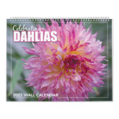 Dahlias-Mauer-Kalender 2021 Kalender (Titelbild)