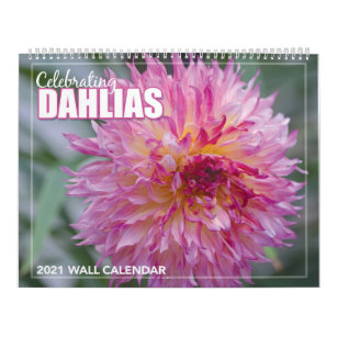 Dahlias-Mauer-Kalender 2021 Kalender