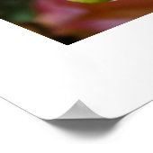 Dahlias Poster (Ecke)