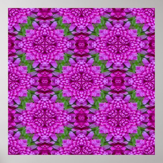 Dahlias.... Poster (Vorne)