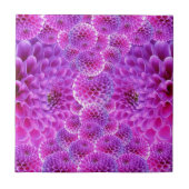 Dahlie-Blume Fliese (Vorderseite)