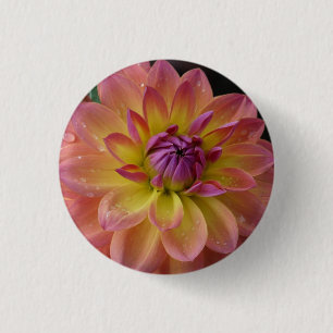 Dahlie-Blumen-Blüte Button