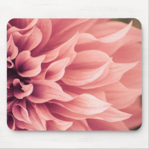 Dahlie-Blumen-Blüte Mousepad