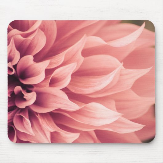 Dahlie-Blumen-Blüte Mousepad (Vorne)