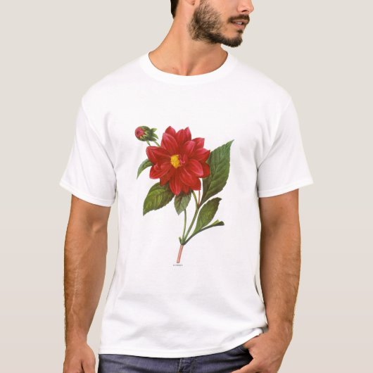 Dahlie (Dahlie Pinnata) T-Shirt (Vorderseite)