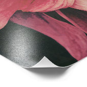 Dahlie Fotodruck (Ecke)