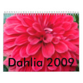 Dahlie-Kalender 2009 Kalender (Titelbild)