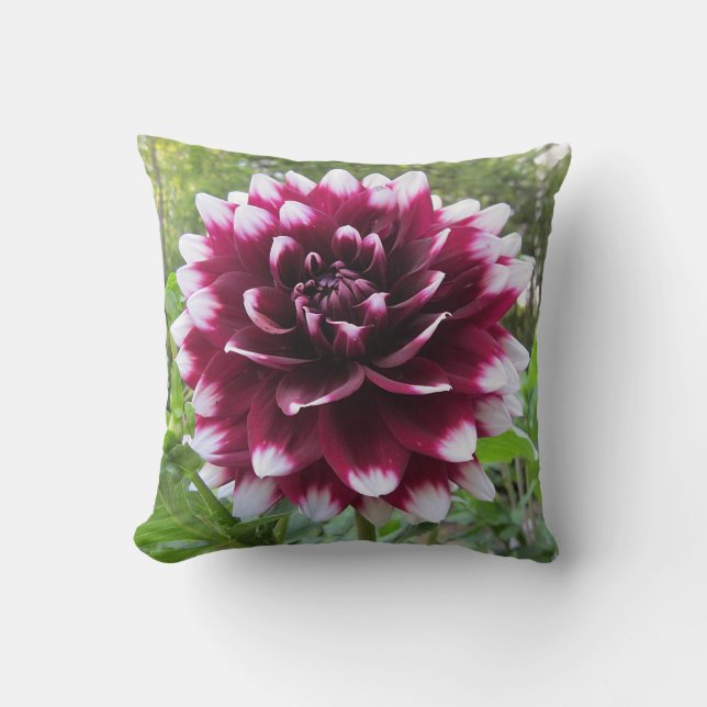 Dahlie Kissen (Vorderseite)