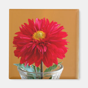 Dahlie Magnet