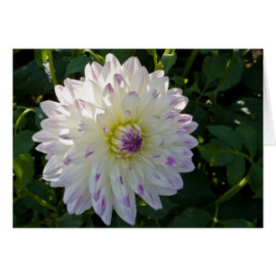 Dahlie, Margaret Ellen