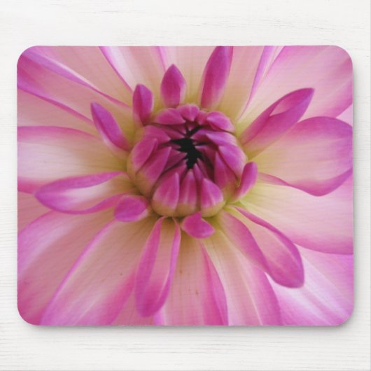 Dahlie-Mausunterlage Mousepad (Vorne)