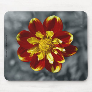 Dahlie Mousepad