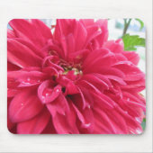 Dahlie Mousepad (Vorne)