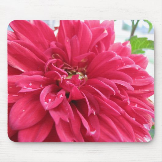 Dahlie Mousepad (Vorne)
