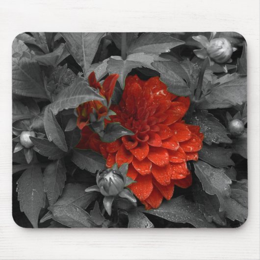 Dahlie-mousepad Mousepad (Vorne)