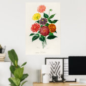 Dahlie Poster (Heimbüro)