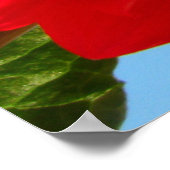 Dahlie Poster (Ecke)