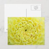 Dahlie Postkarte (Vorne/Hinten)