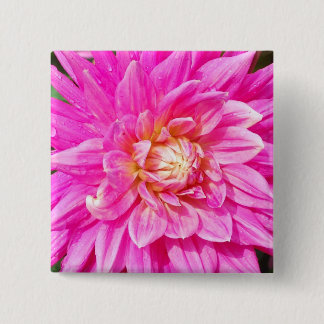 Dahlie-quadratischer Knopf Button