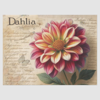 Dahlie Seidenpapier