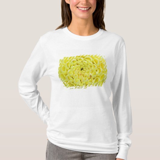 Dahlie T-Shirt (Vorderseite)