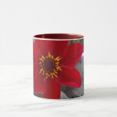 Dahlie Tasse (Zentrum)