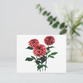 Dahlie Weihnachtsmann Feiertagspostkarte (Stehend Vorderseite)