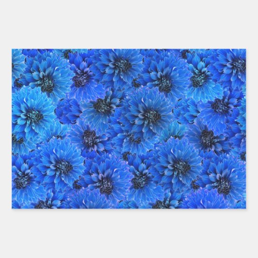 Dahlien in königsblau - Blumendesign Geschenkpapier Set (Vorderseite)