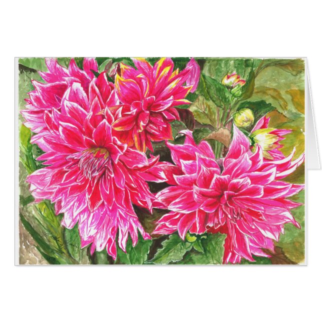 Dahlien in voller Blüte (Vorderseite (Horizontal))