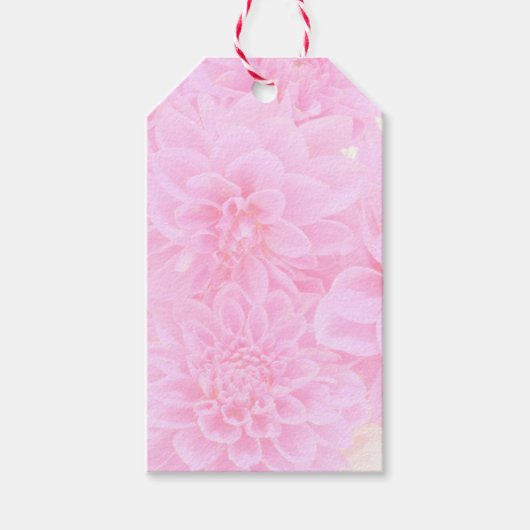 Dahlien in weichrosa geschenkanhänger (Vorderseite)
