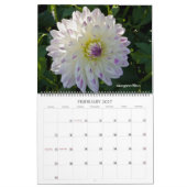 Dahlien Kalender (Feb 2027)